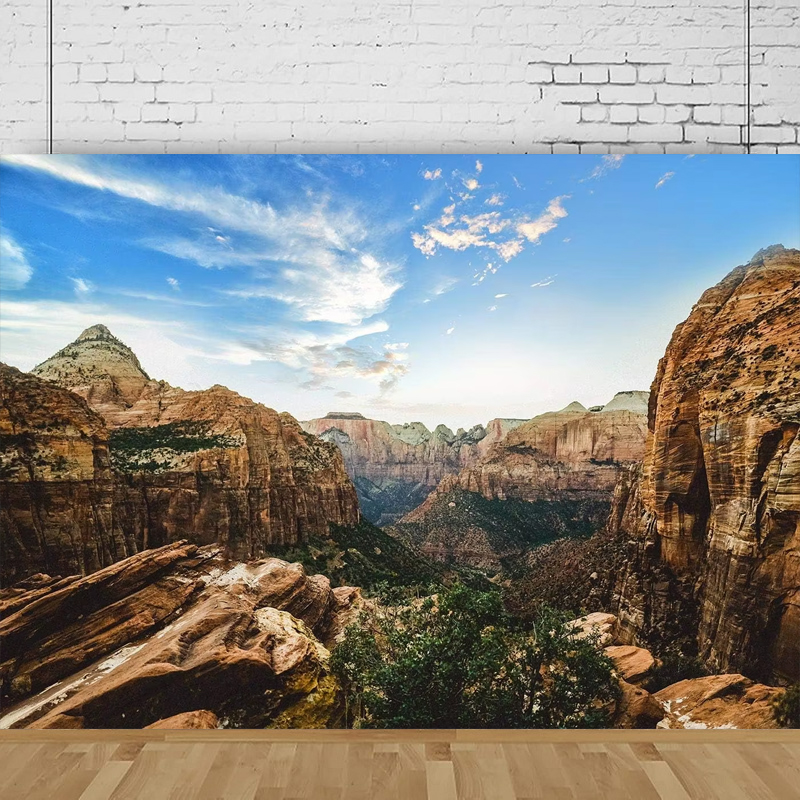 Outdoor Adventure Background - National Park Photography Backdrop Canyon Overlook