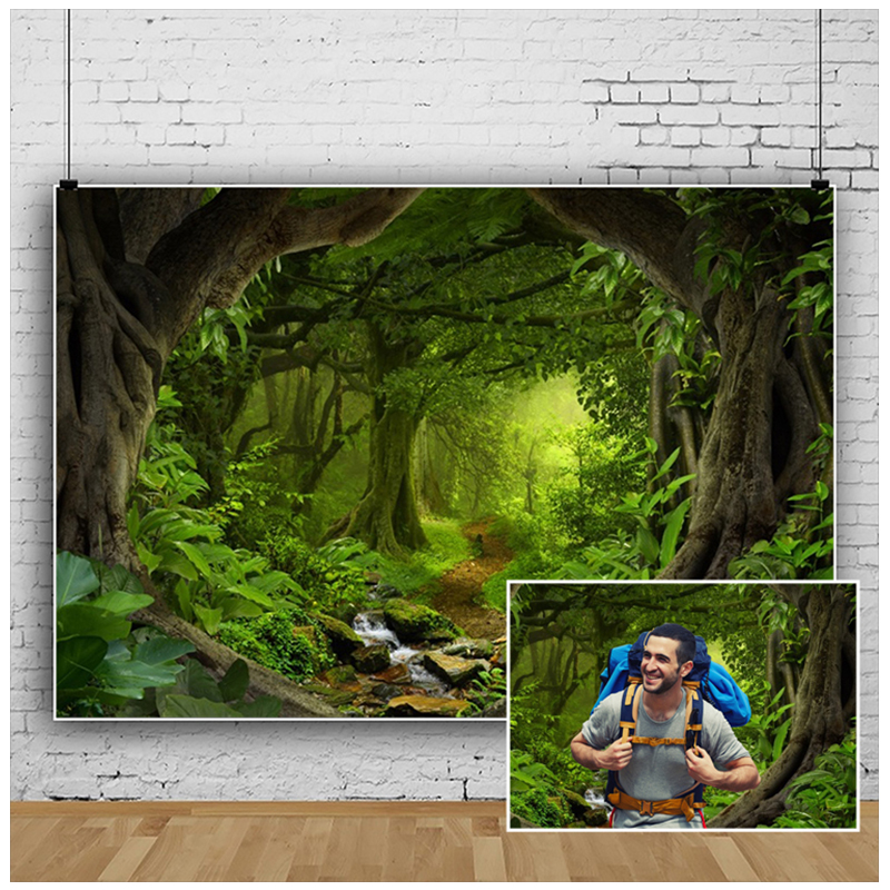 Tropical Rainforest Photograph - Outdoor Adventure Background のレビューと価格