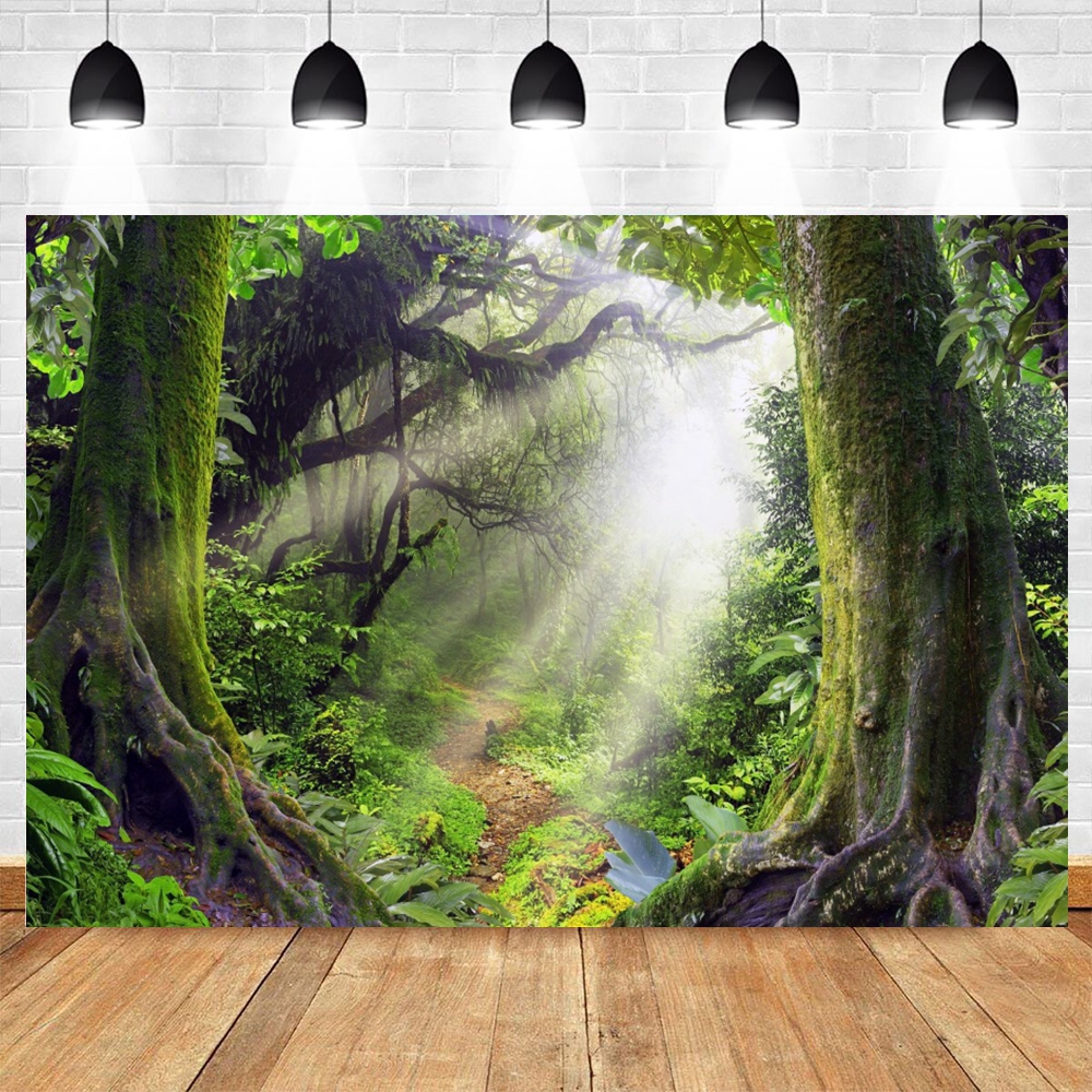 Tropical Rainforest Photograph - Outdoor Adventure Background のレビューと価格