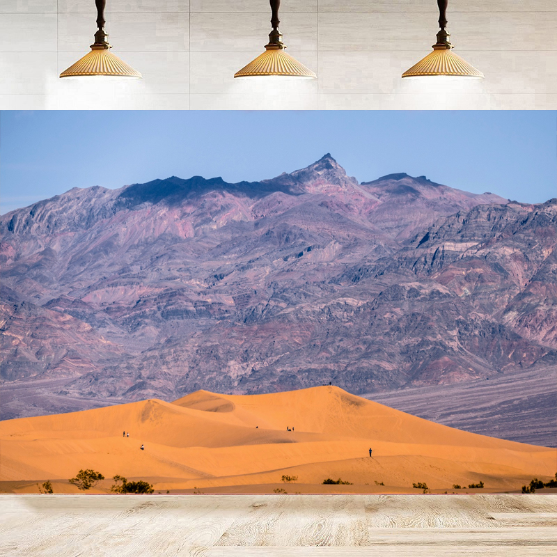 Desert and Mountain Landscape  - Outdoor Adventure Background のレビューと価格