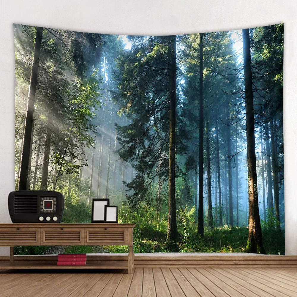 VIKAMA Outdoor Adventure Natur - Outdoor Adventure Background のレビューと価格